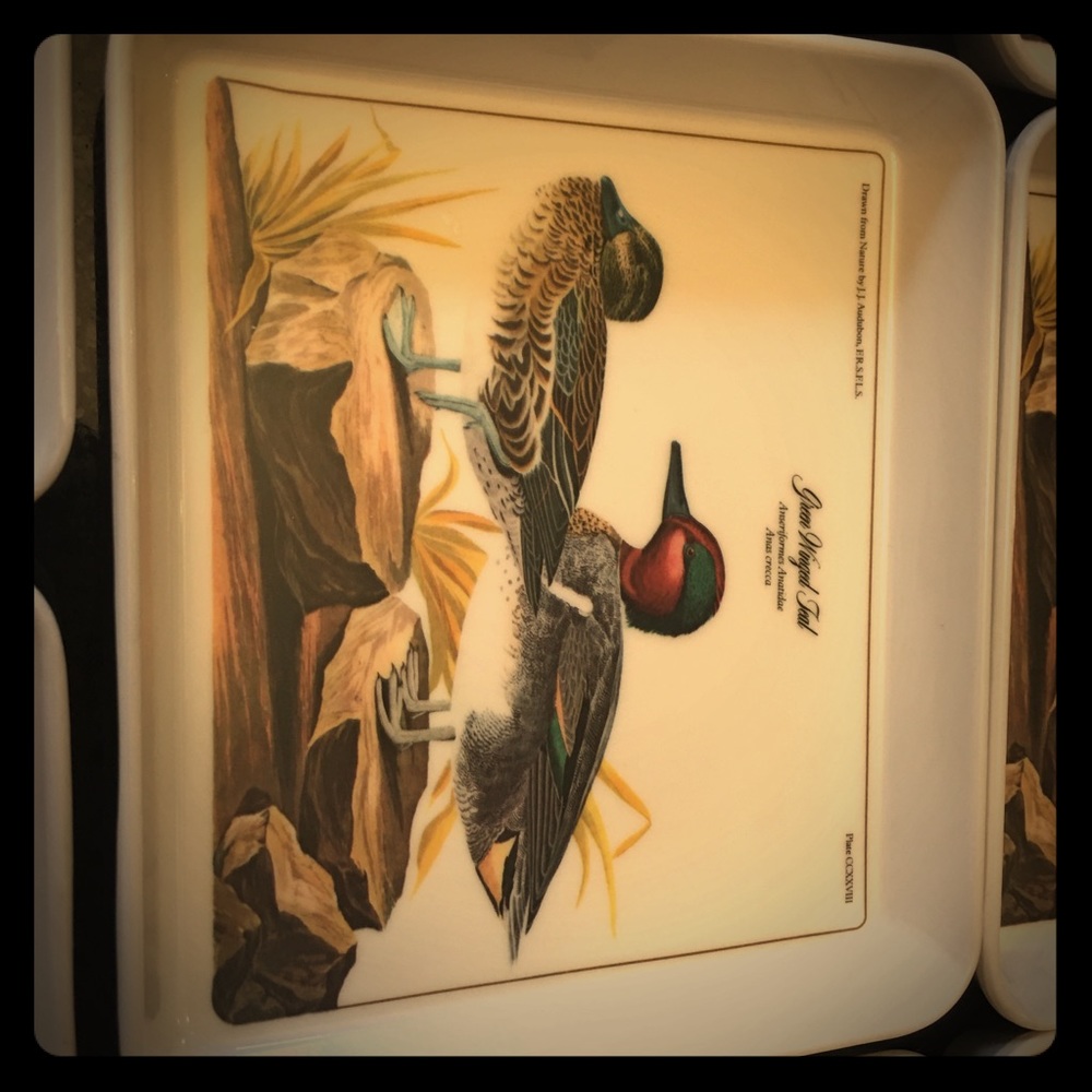 Vintage  J.J. Audobon  8 snack trays